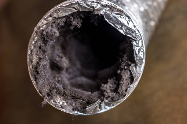 Best Air Vent Cleaning Services  in Landisville, PA